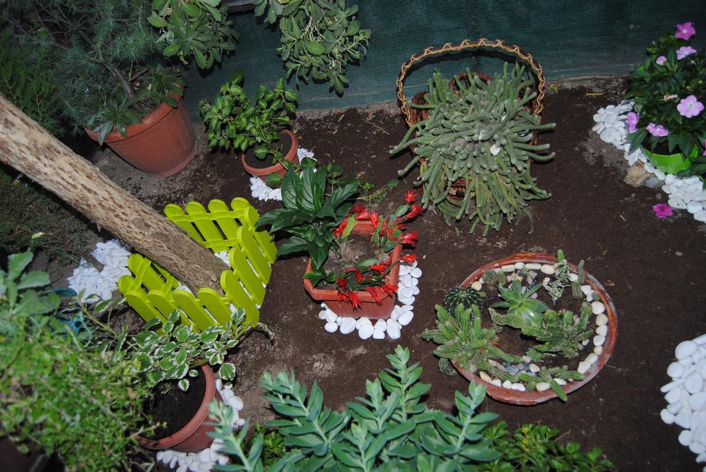 Joleski Accommodation Ohrid Esterno foto